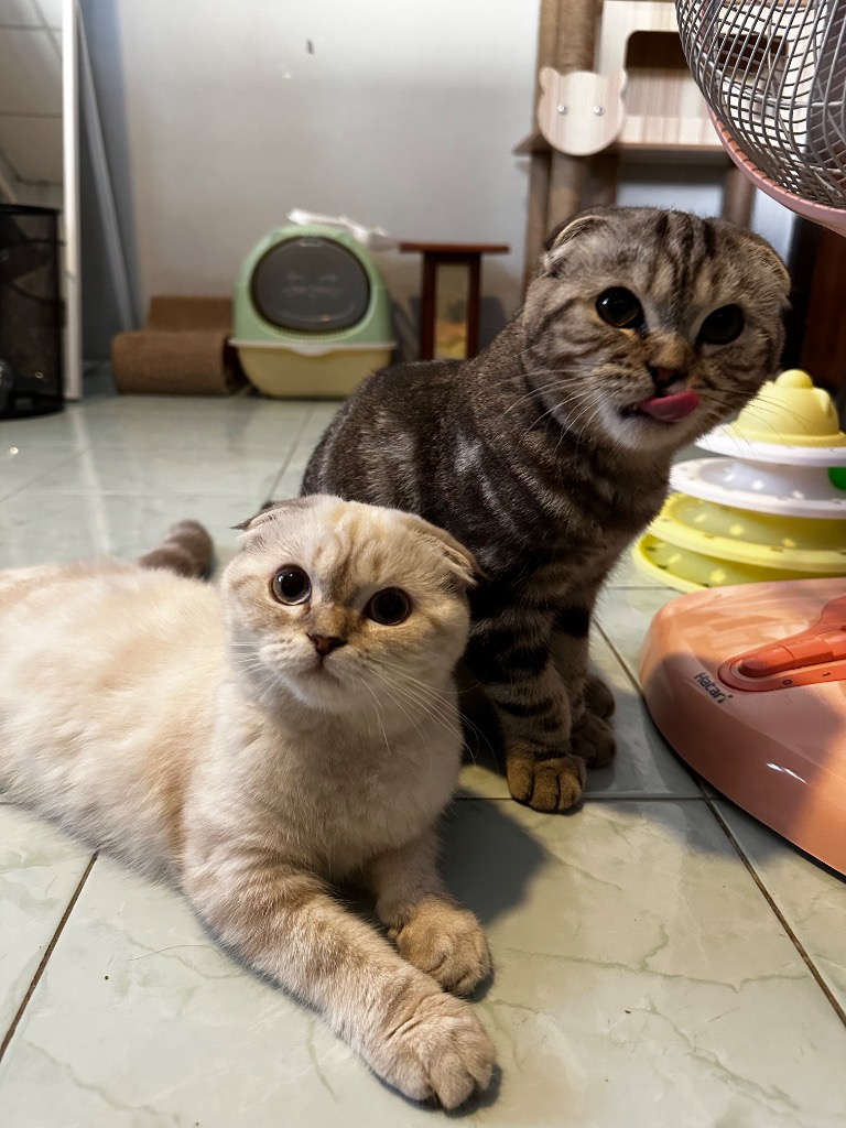 VI · เคียงคู่กัน